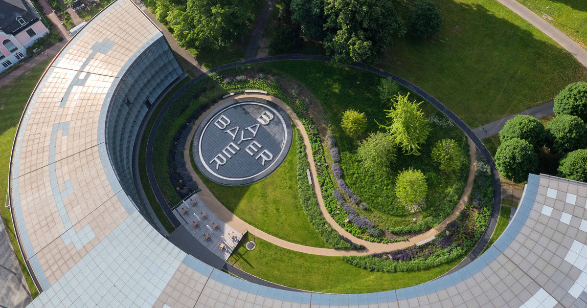 Bayer's 2025 Outlook: Confirming Strategic Progress